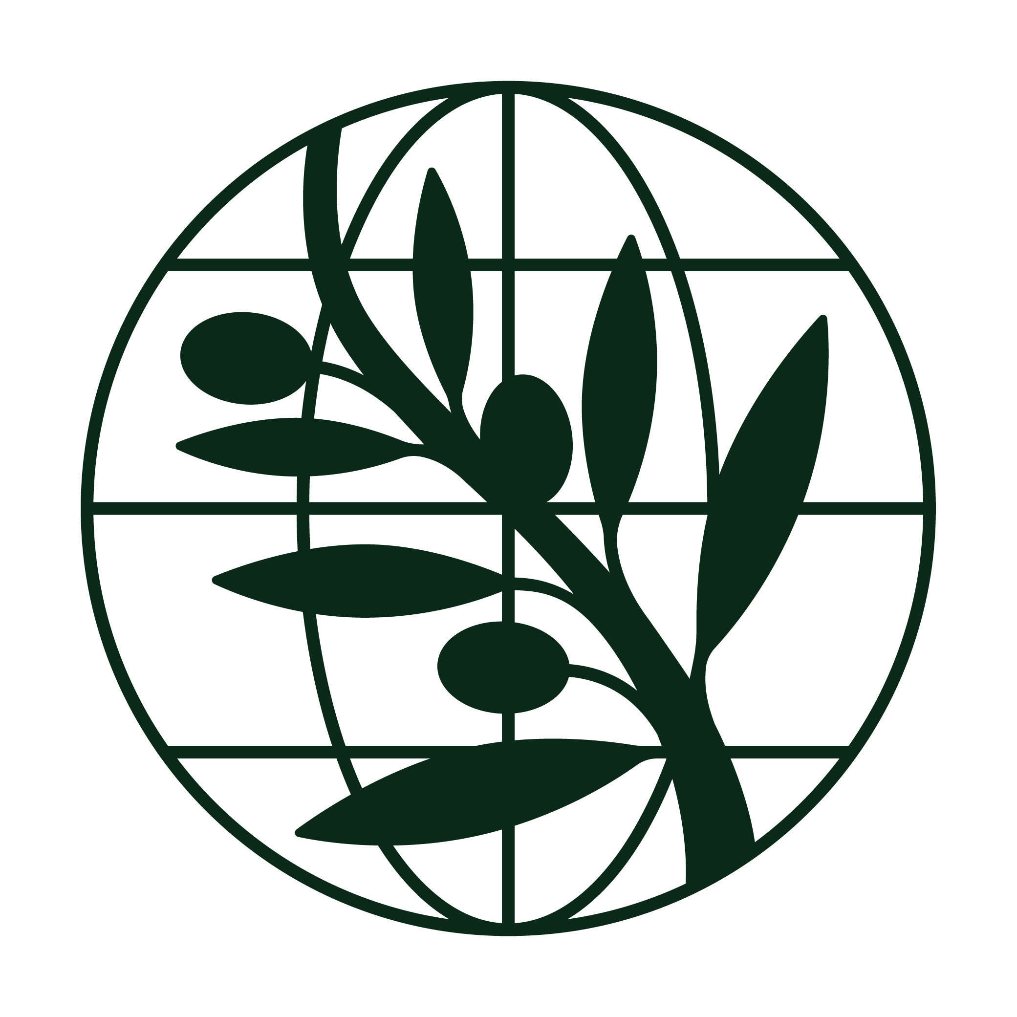 International Olive Council logo